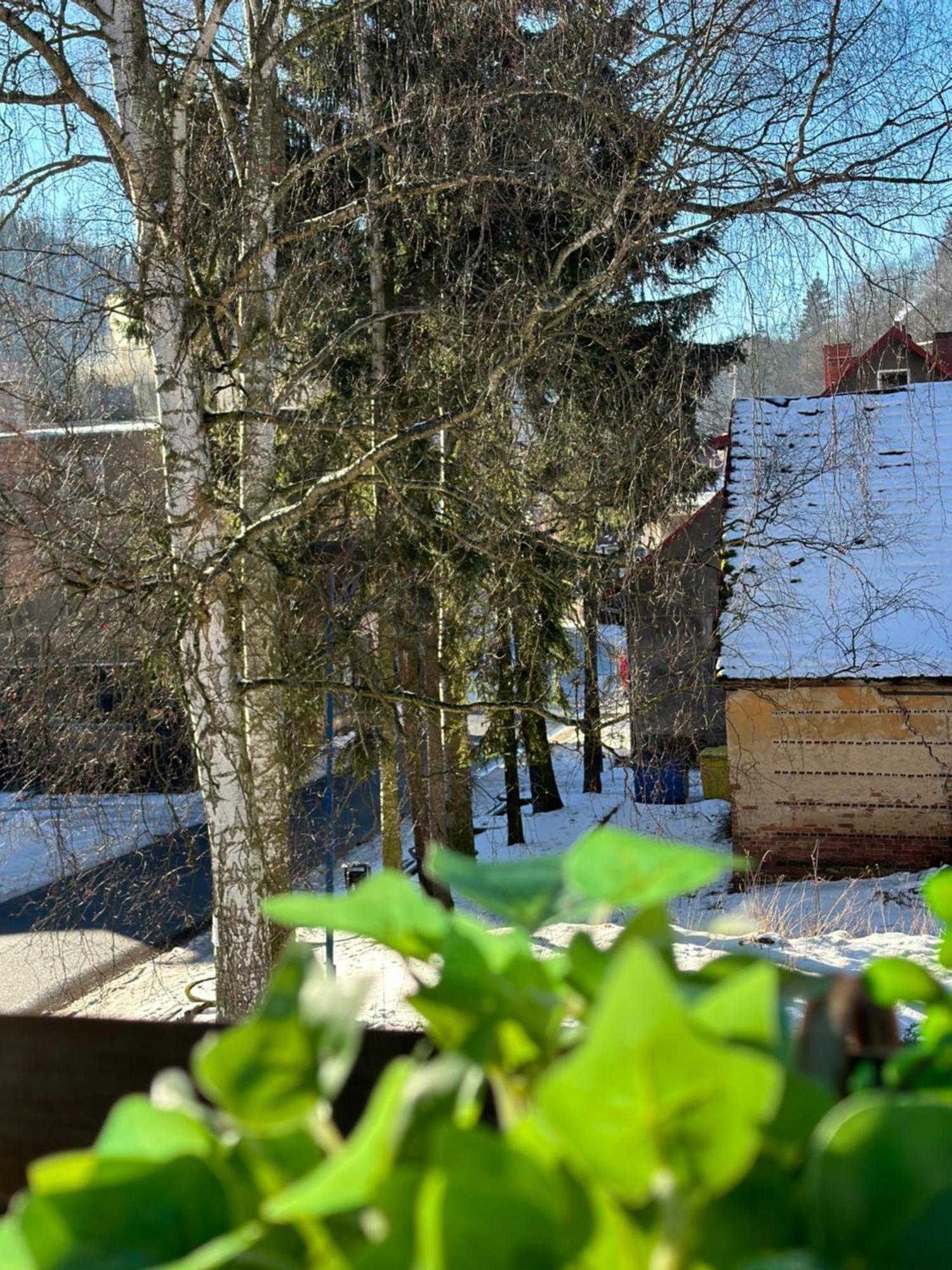 Znajomi Znajomych Apartment Sokolowsko